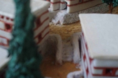 OLYMPUS DIGITAL CAMERA