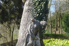 1_chene_brise_a_floing